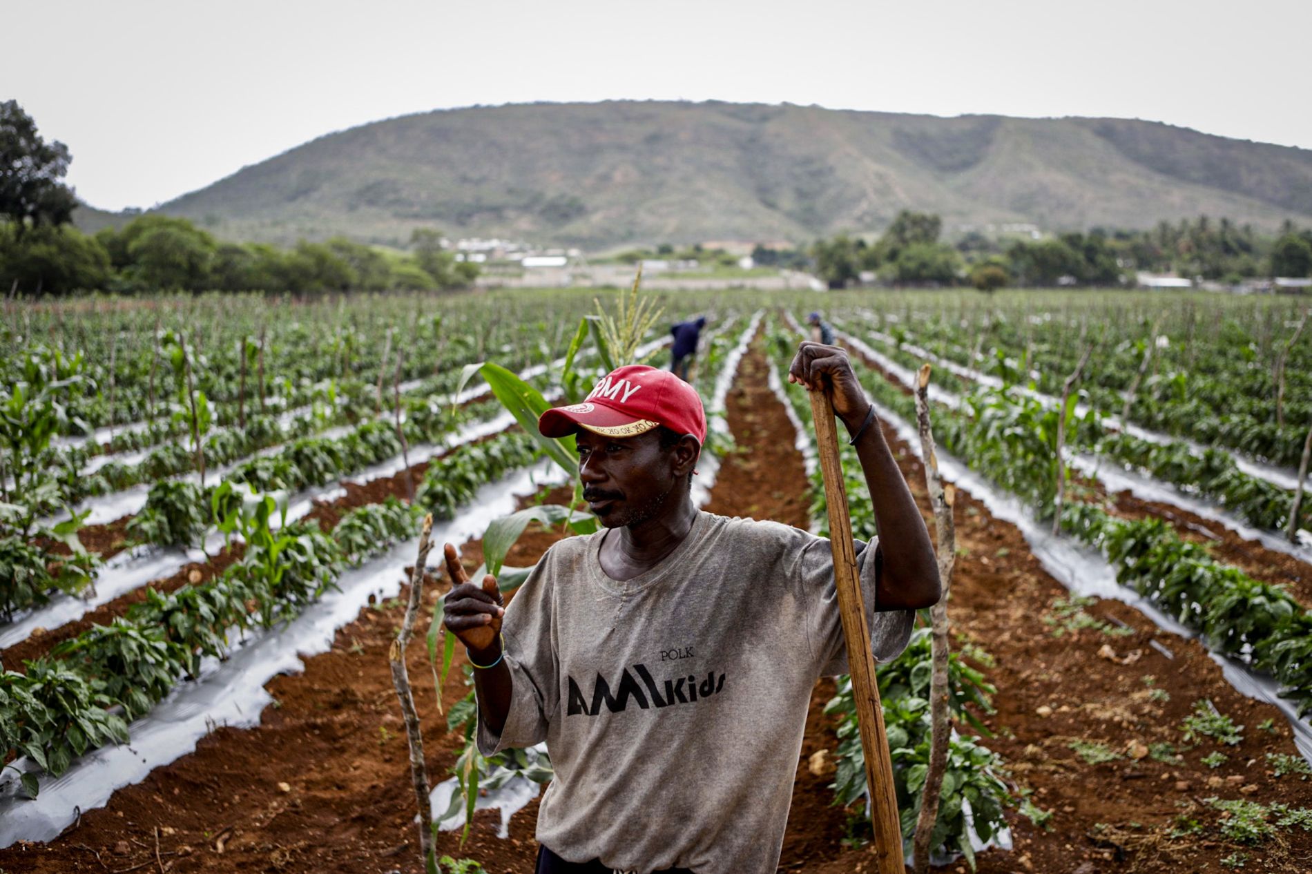 Haiti